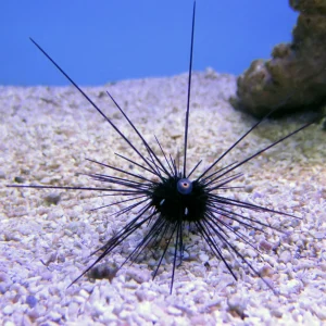 c5e468bbe4dcf403103008657ce8a4f1