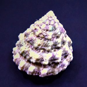 e80036af06715ed1a4834ffdb5924d4c