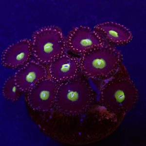 9b7c47d66b193a251f92cec08e71db4b