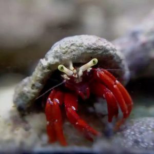 36a8784115f89f351d8ca4b2b5a05067