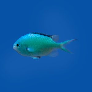 e551632352fa82ca91f7c3f508b885f7