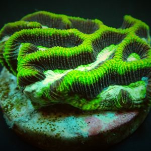 472cdc6b198bc90617ae22fcf04fb647