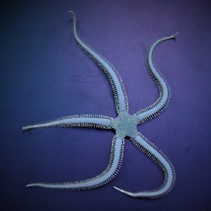 74c2e6ad19eb867e885e5c65efbda378