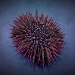 390e5eae1c543f56138d2fe123fdcc68