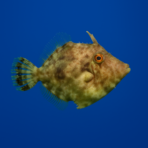 e86d87213ef9360da66dde4befcea3f4