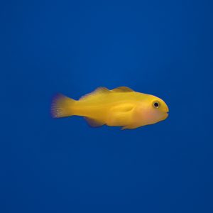 e7f6020e959cf92e6775515b4d279239