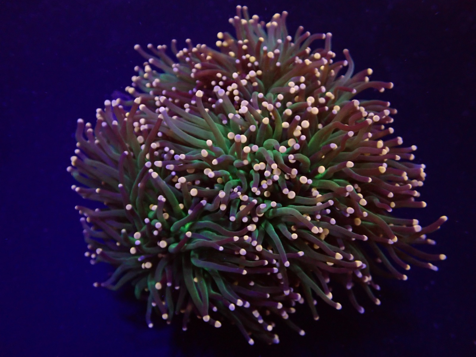 cc93fe868d06ac6e38a8e46b0596e6e1