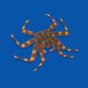 73afd071fadc9291901dbcbb032f5e76