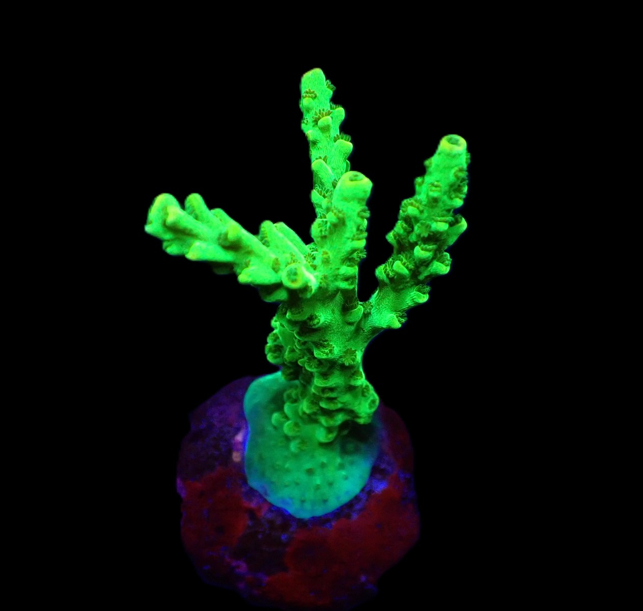 8a468687b6f5ce9e00710bbc4dd40e89