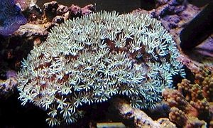 9b1a67fc623b25f59edf2c2a0db1ff6d