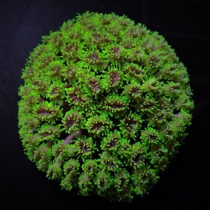 662196504ee54278e5378033c40c30fb