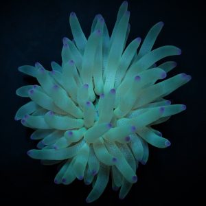 77b9e8d03b28ec181bd6f115612d48f9