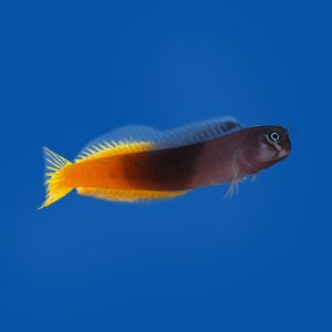 048f3e939e763691e96010d86b5233e2