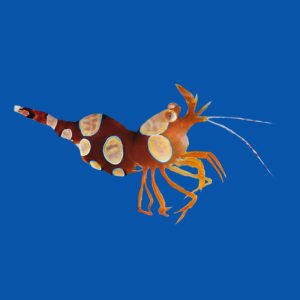 25c9283e80022425b596cdb3e53ebef4