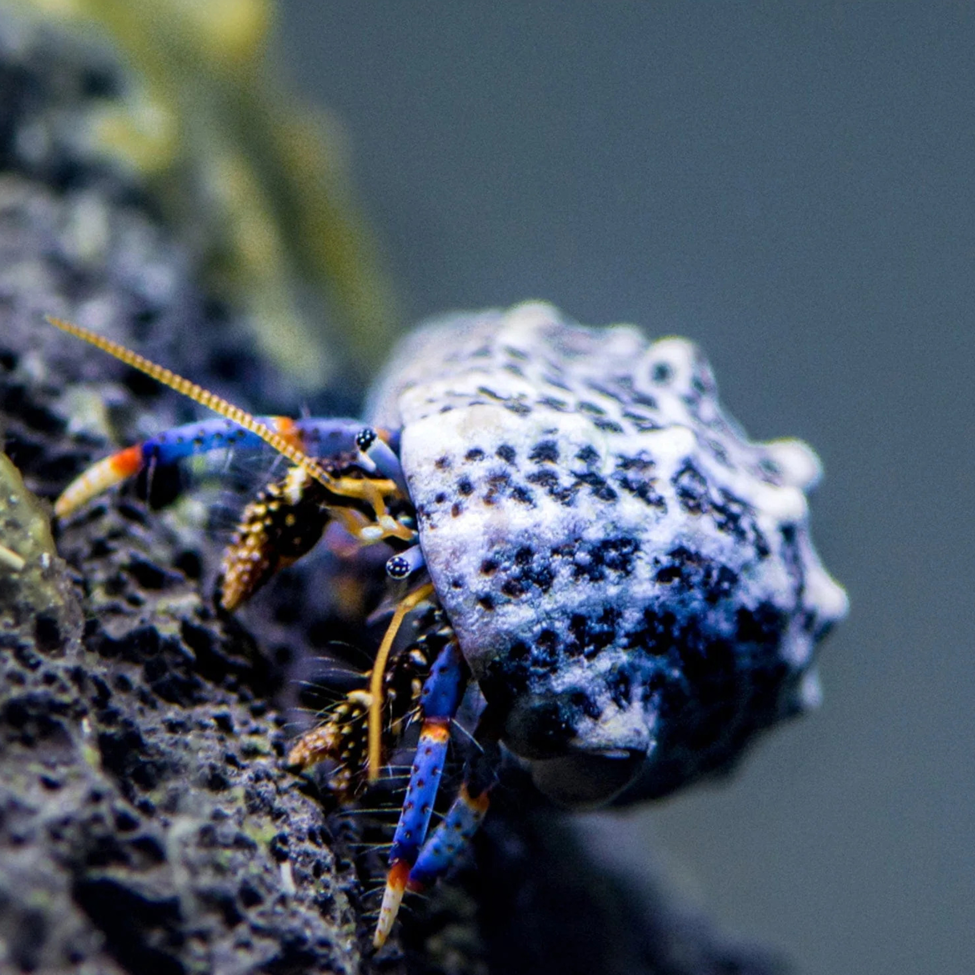 f9817e5920b9394df23e9d42b2f39001