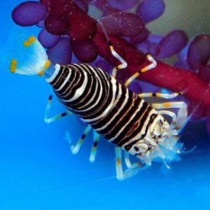 08c6dd3fc5ea03fb2dbfd965711b78ad