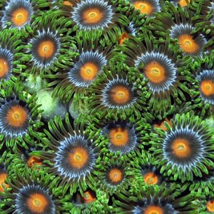 206da7625d5dbad39e658214143cad9e