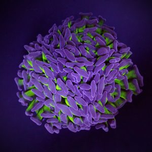 287631e82cb8c0e6ff85ae2b6416ae11