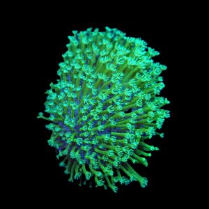 9e5fe9a98b151d5fd722636decc2500b