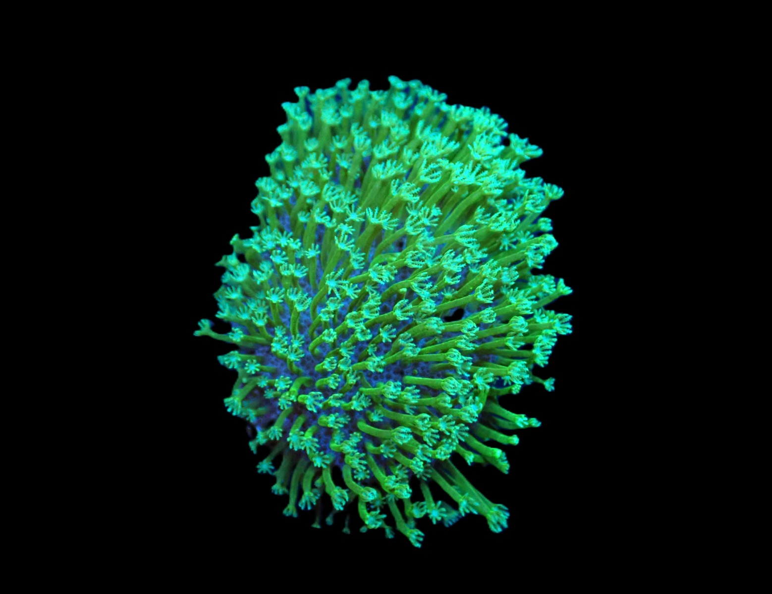 9e5fe9a98b151d5fd722636decc2500b