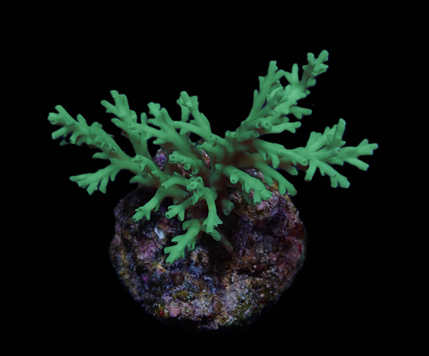 a3cc3b6d5f5c9d31ef5ac1df9f9e13b9