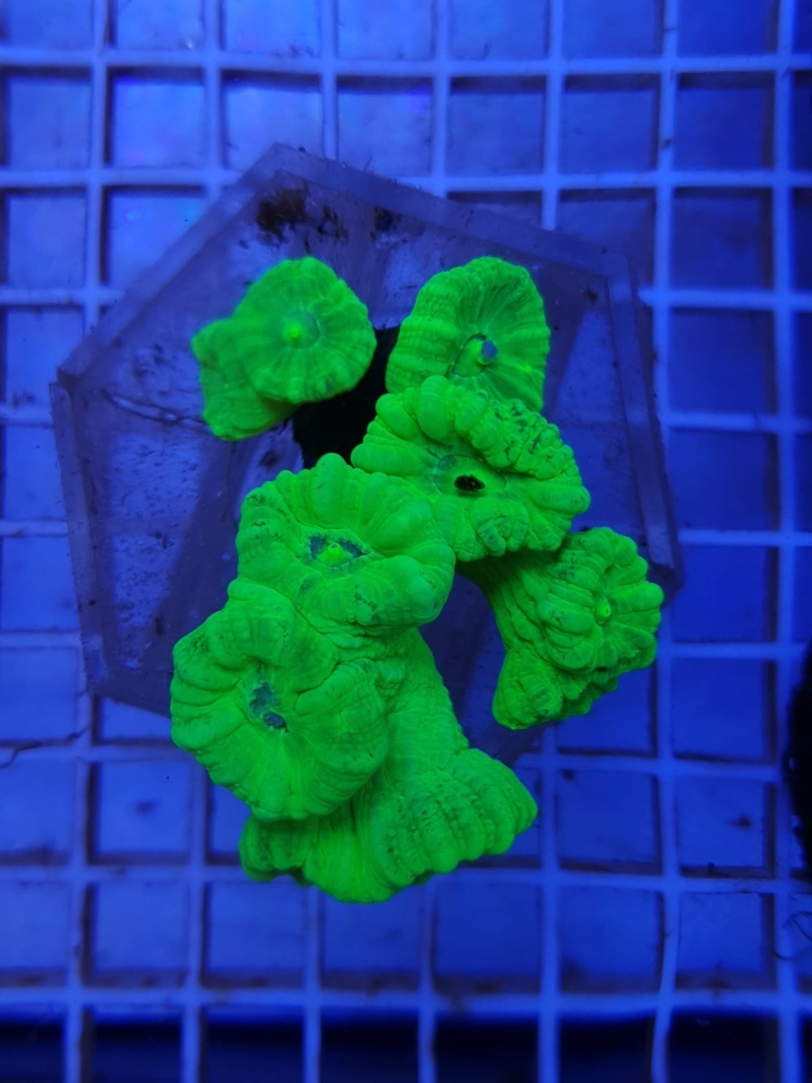 856953c52def8848982a1bcc1e91a3ec