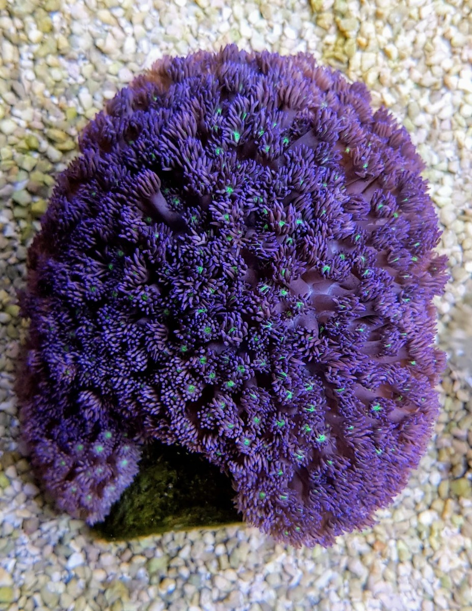 f9e7defc6134d8085d408d5f73489e29