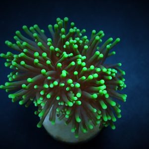 f883b221ff17fec5c67f1d4d99f63fff