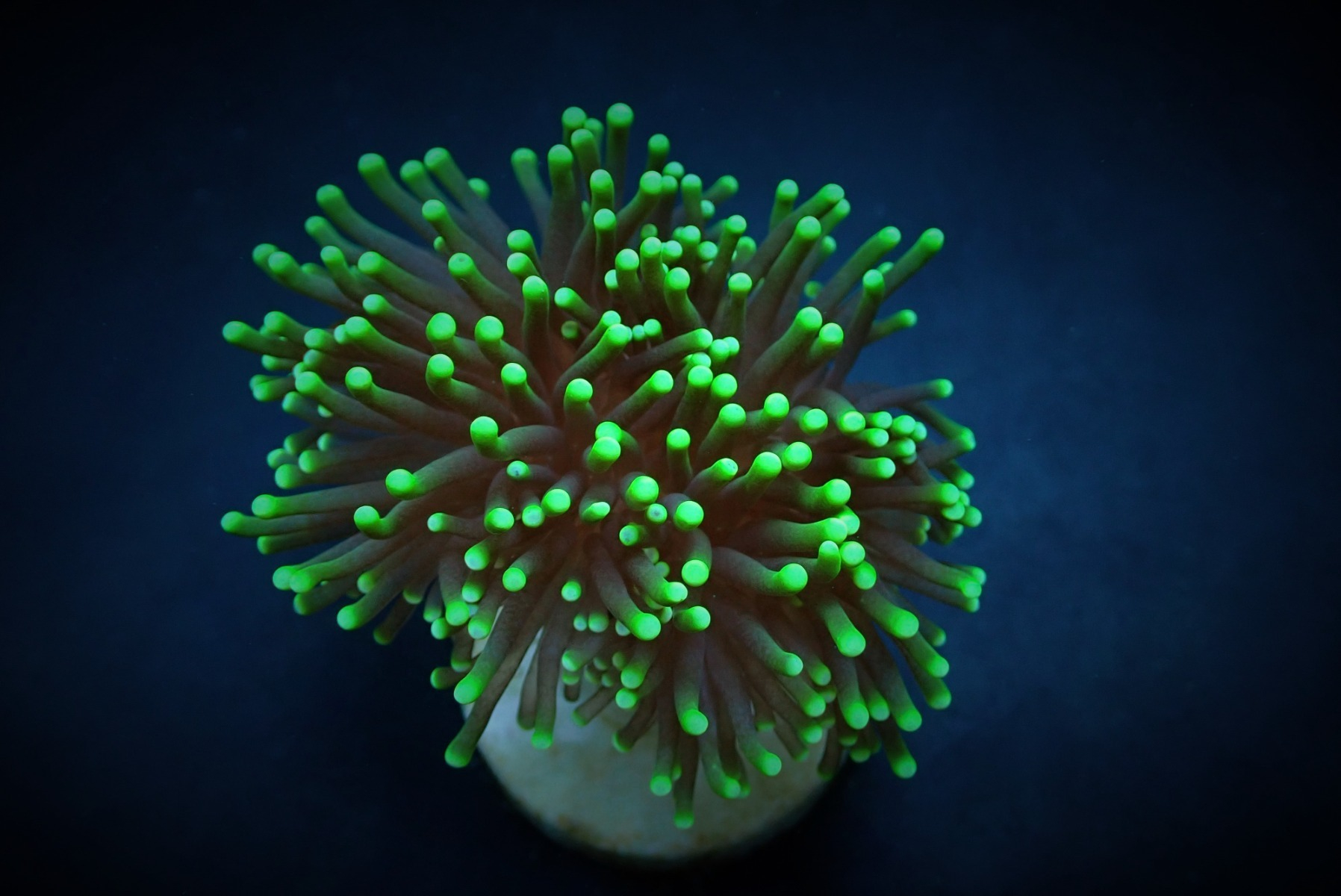 f883b221ff17fec5c67f1d4d99f63fff