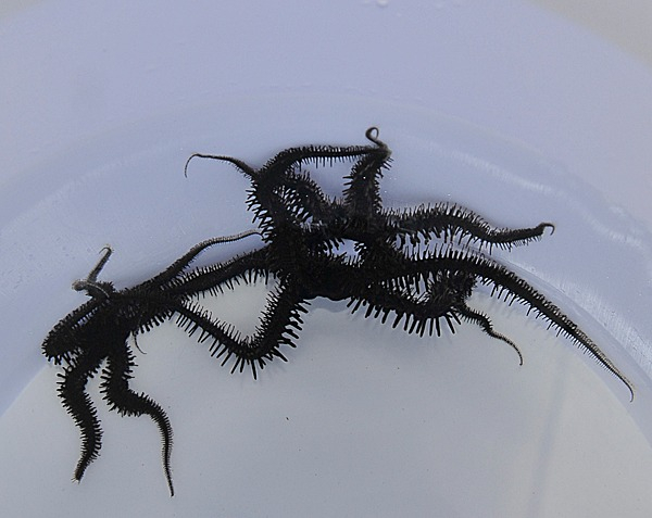 d8059078744ed37b8dbd2609db696d92