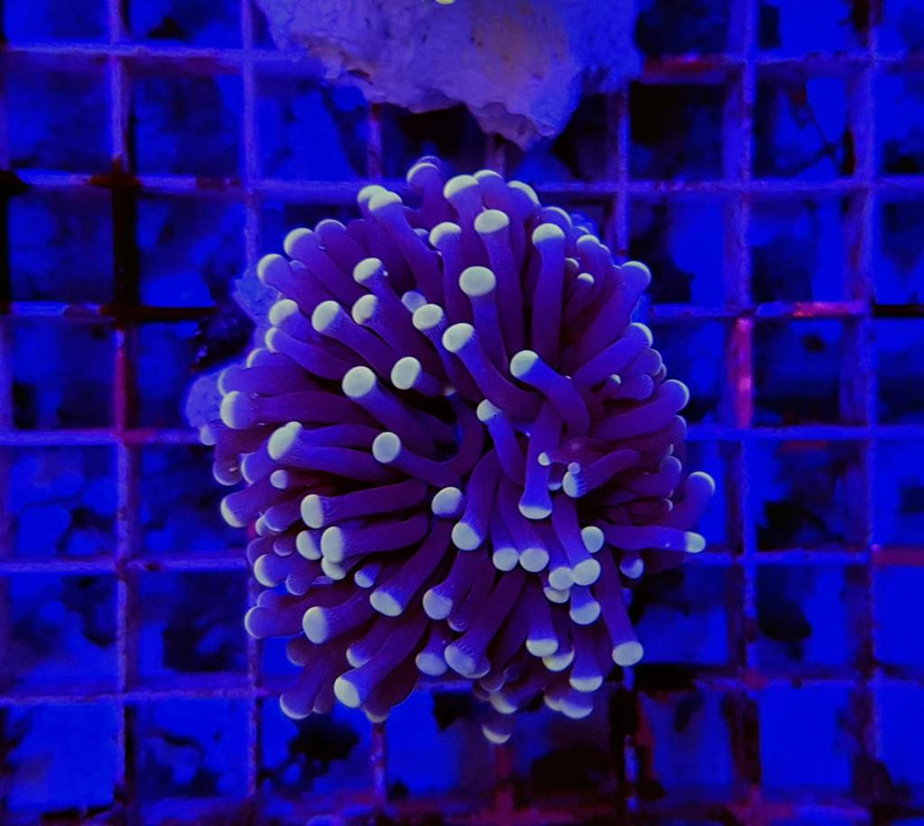 e6a04cbf50cfc2c05d0576c5ccdcafa7