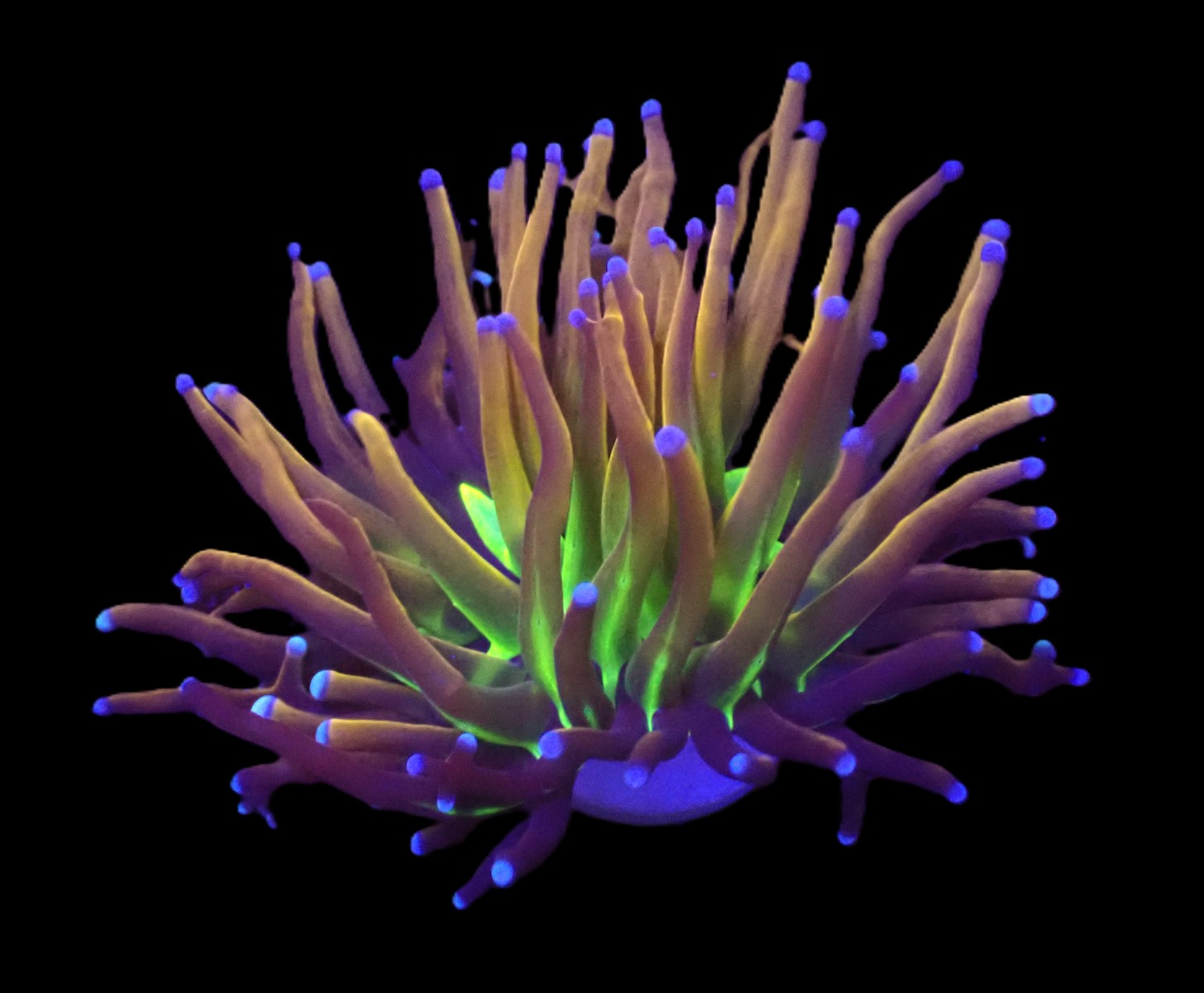 0331dc911f96cd7fd6561e0ee34e1aa4