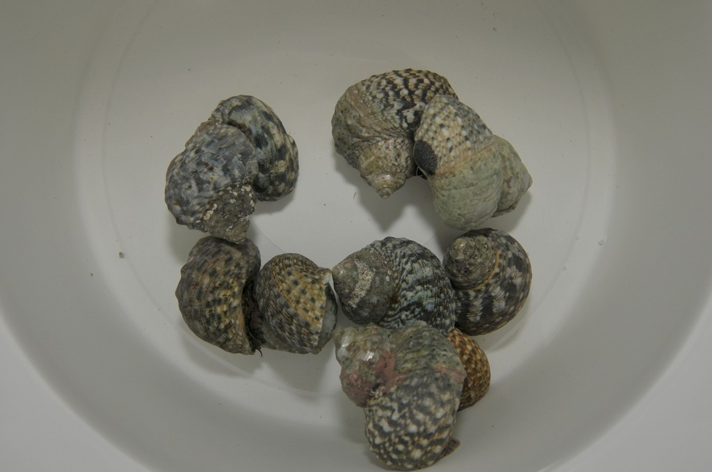 70040b4cd4765f8fb72d12017828720f