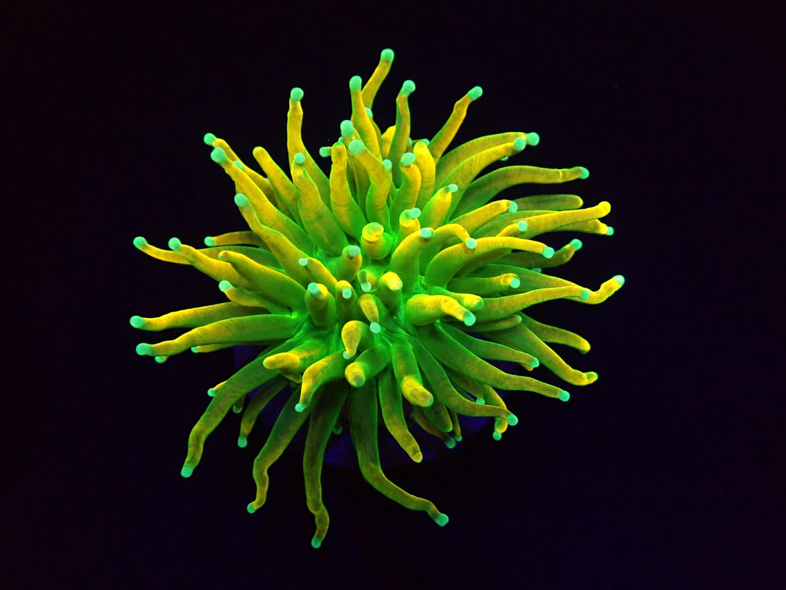 98e8df70d4ba3e7cd112bc4db876422b