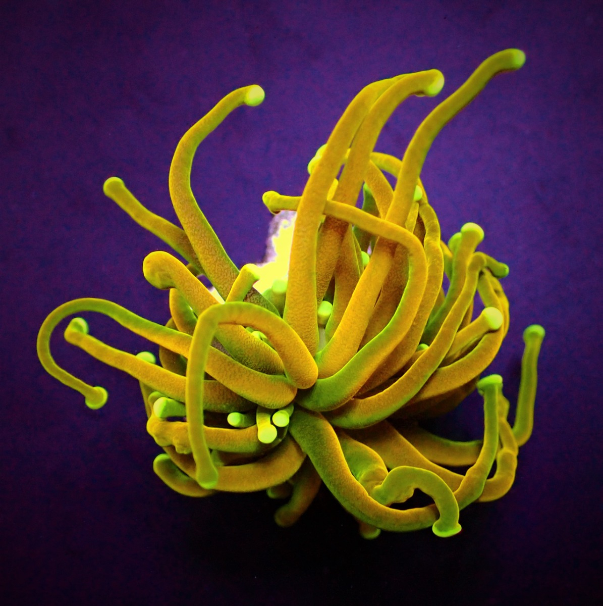 eb47940e7000385d30d3d4745a02ac8e