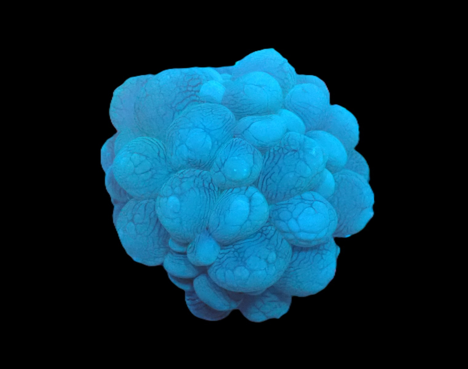 8aa4981231fd85101c1e0748caeb9d65