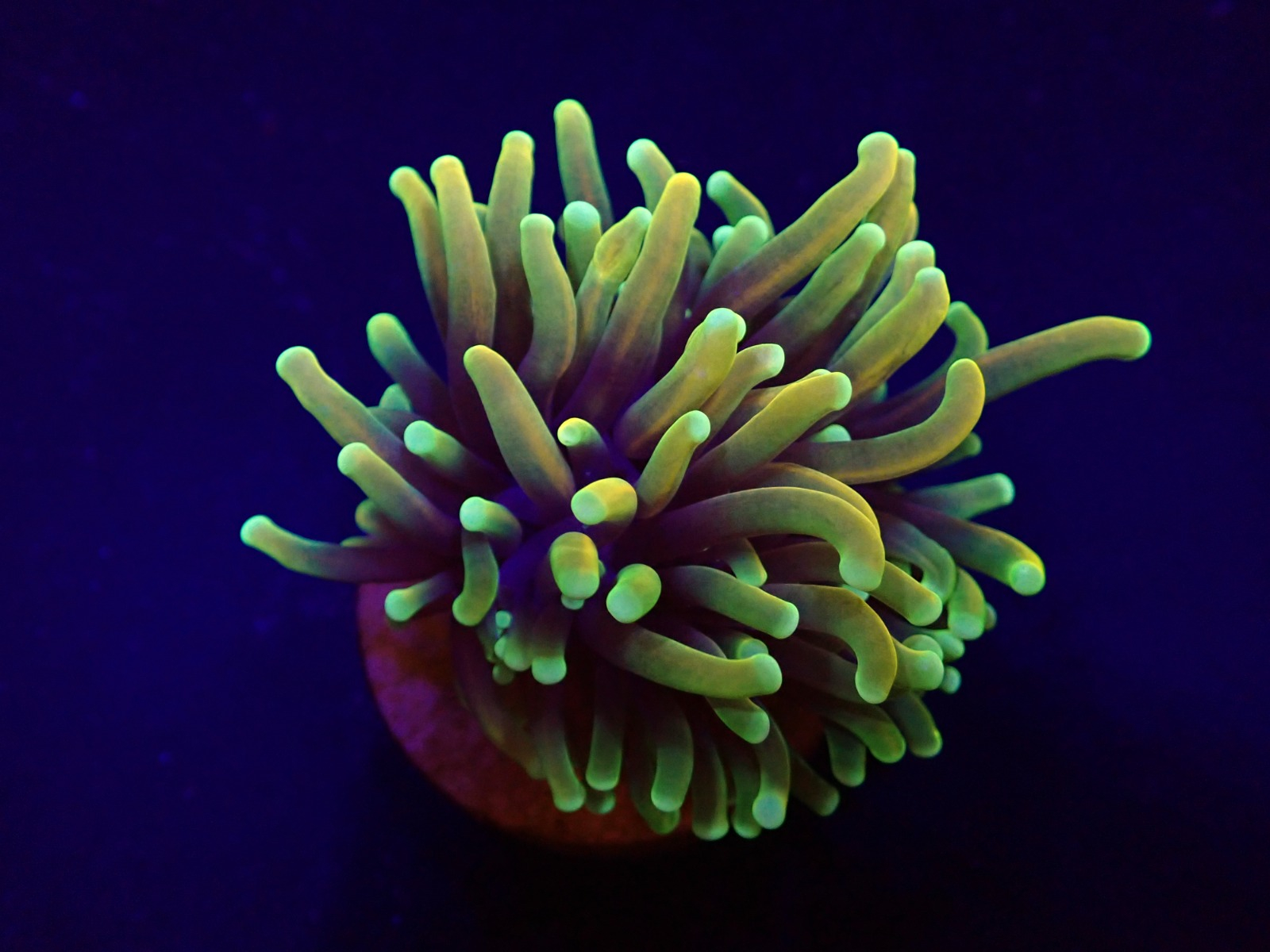 377ce4376db76d1c365b202cb2551507