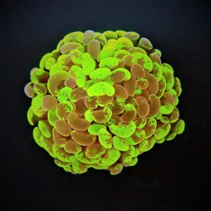 97992f29c3aeb0800f973fd449df6d6c