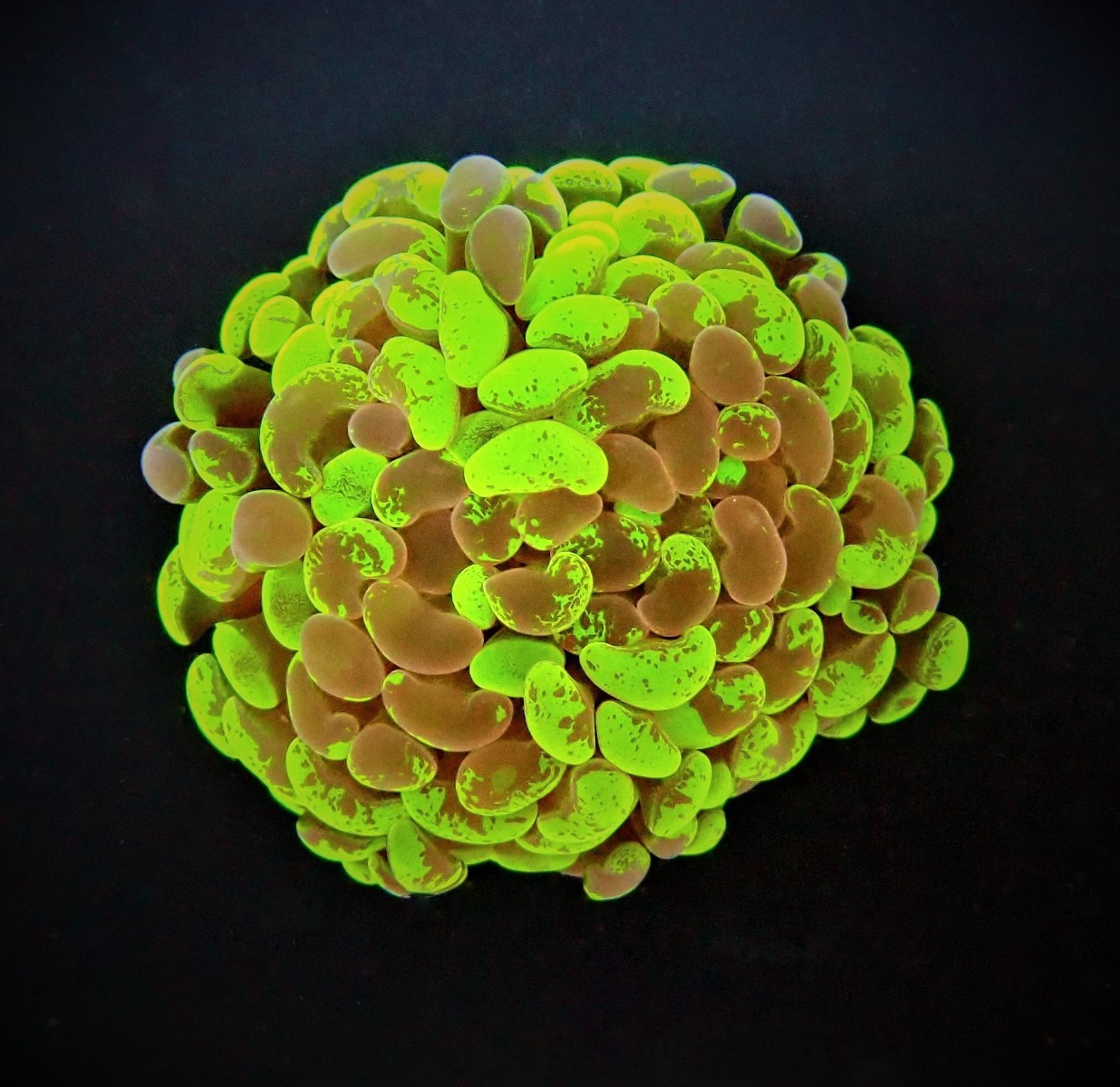 97992f29c3aeb0800f973fd449df6d6c