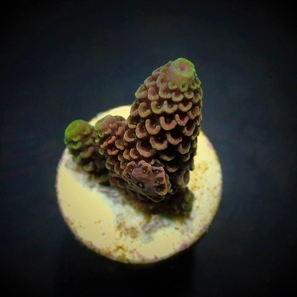 d6ec865787564f8254c9bb6bbf2feafc