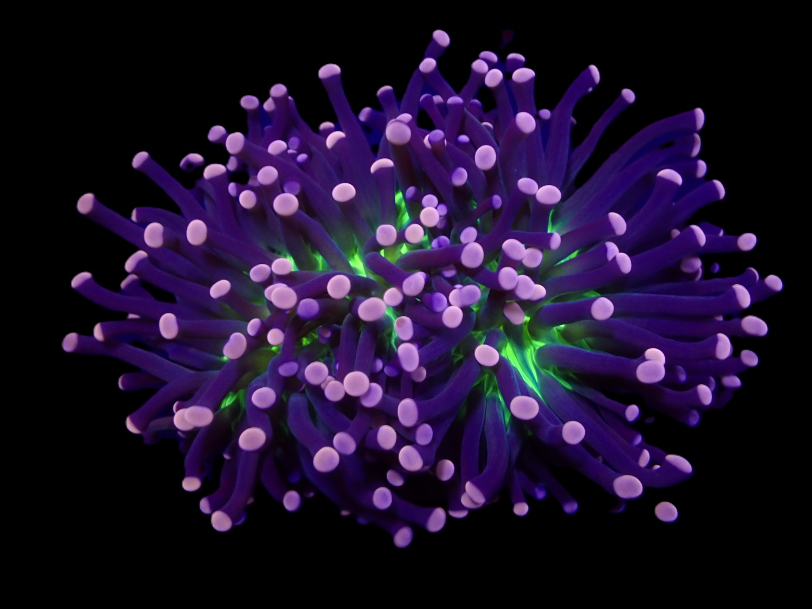 63df43b3f163522d02a5339b329cbf7e