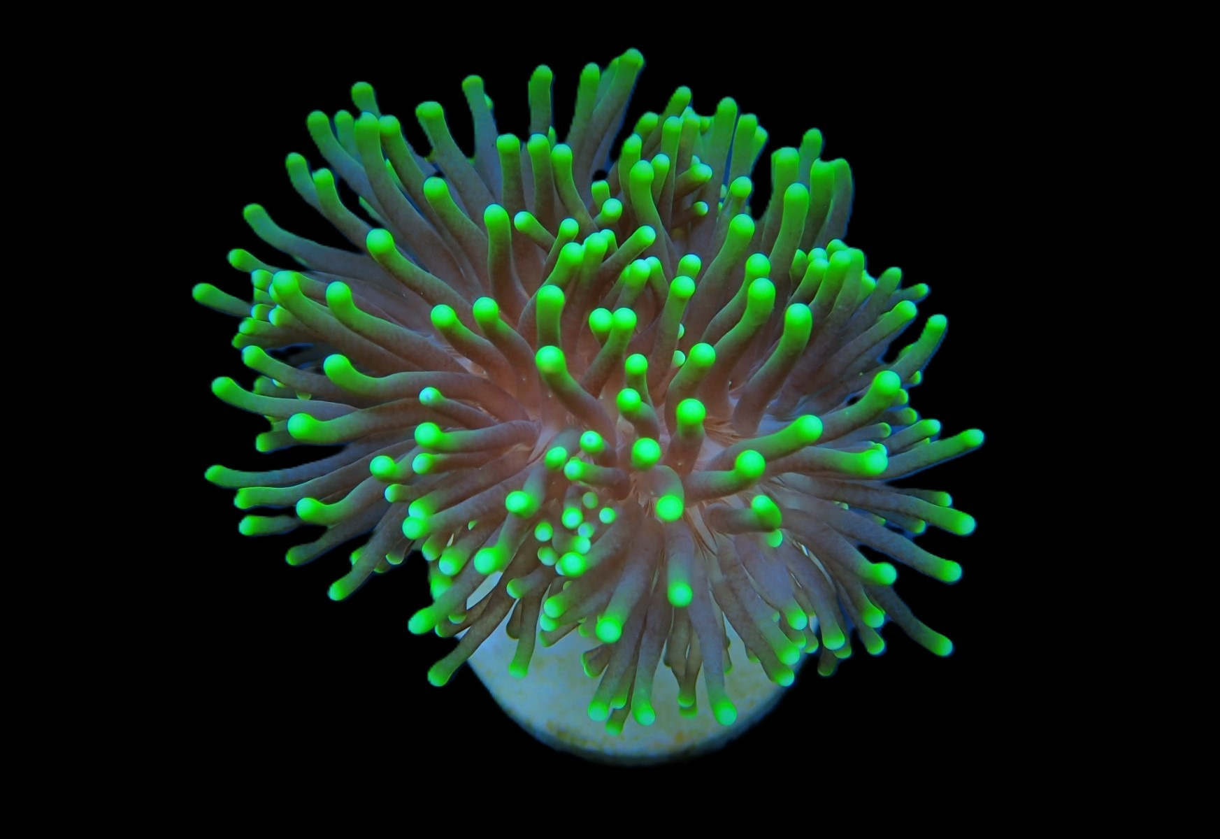 46e4d1c7ca63010d092255553b73c3eb