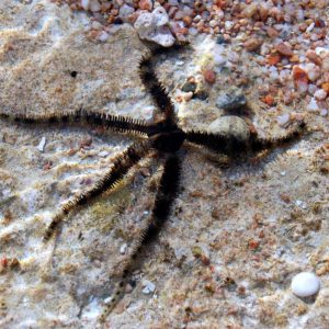 f5f04af9c00ae1fe469e2e8bda83707e