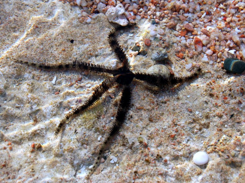 f5f04af9c00ae1fe469e2e8bda83707e