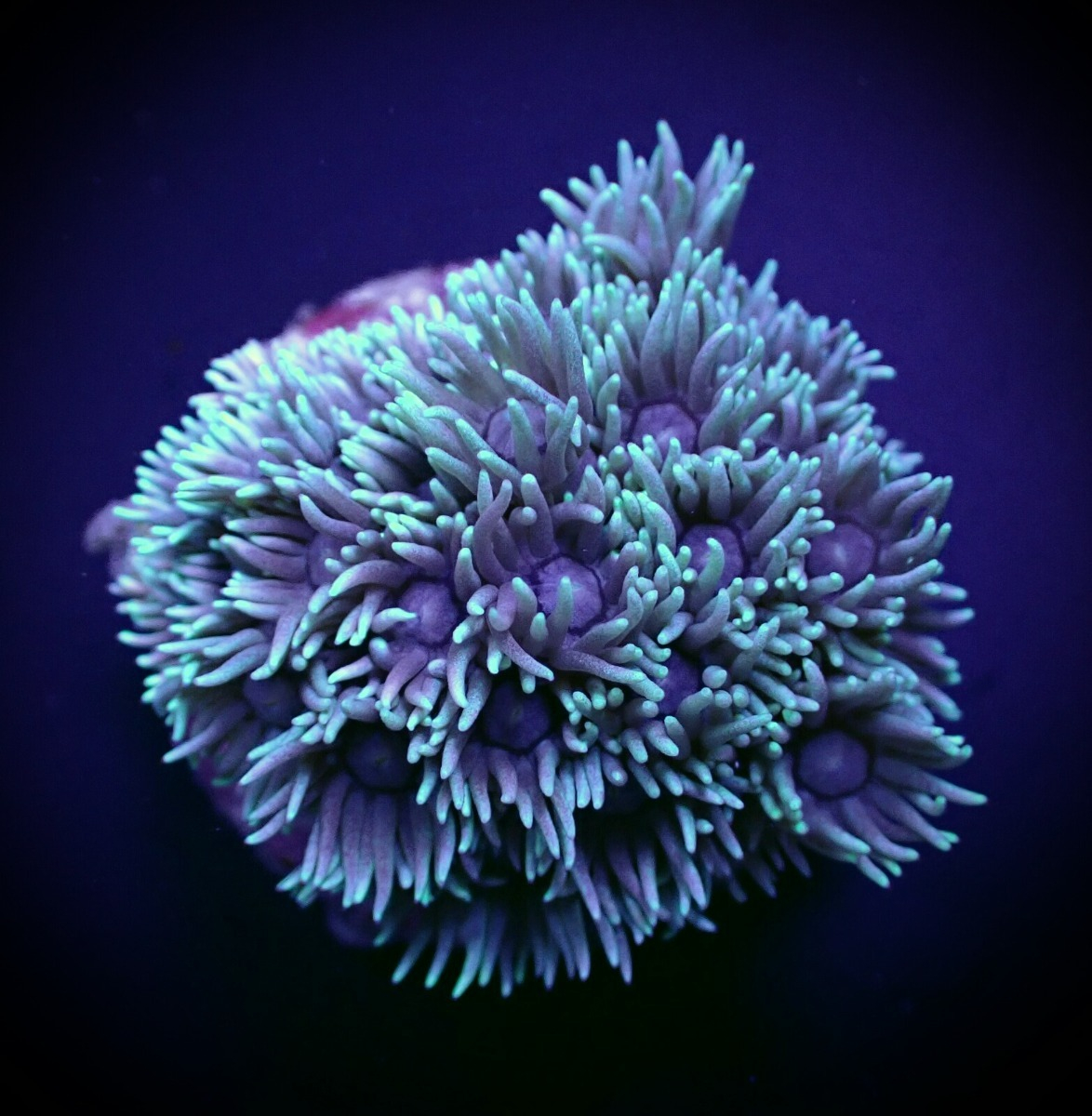 c59d1bb99bb8b9b7e9de5dc3f646bc8e