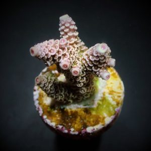 76f9f3b5176b89d8c8f266484c966012