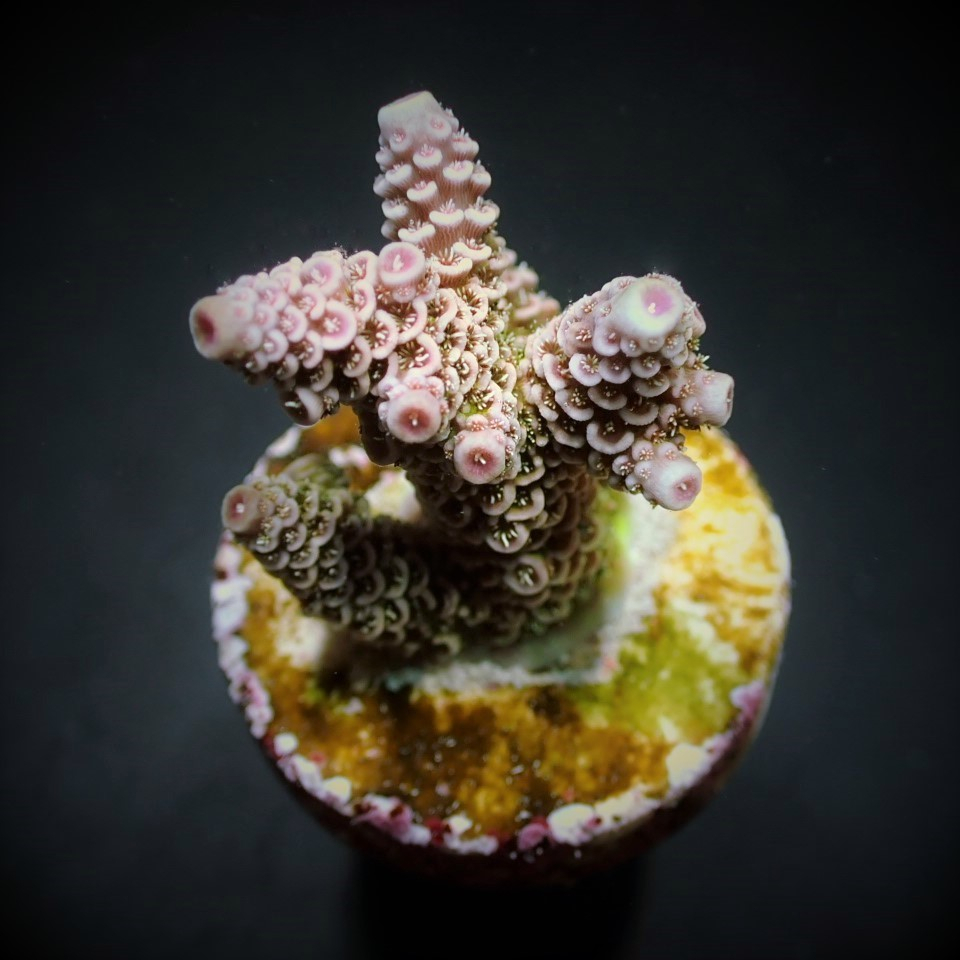 76f9f3b5176b89d8c8f266484c966012