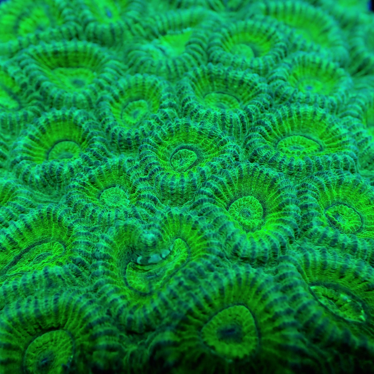 e16409b7e2220bbce423cdfdd24ebf13