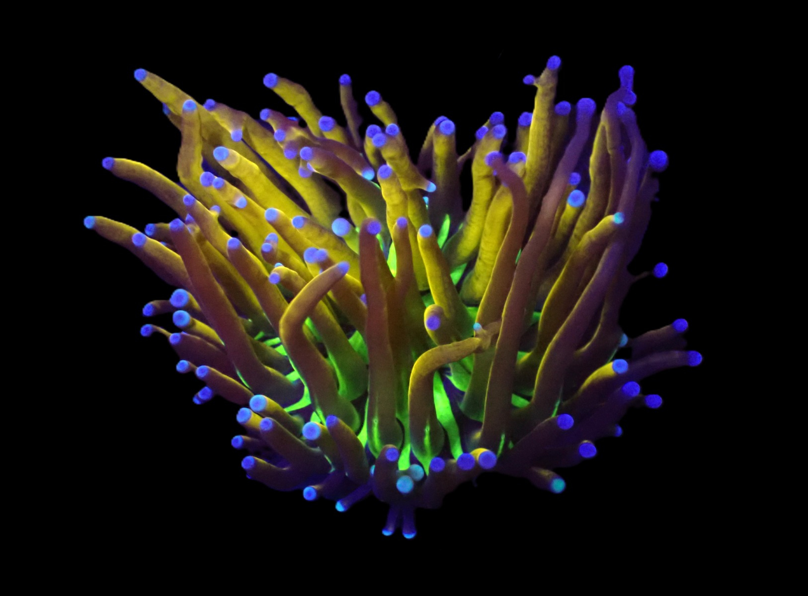 56f050f89967e9af8cdc2340d5e8b3f4