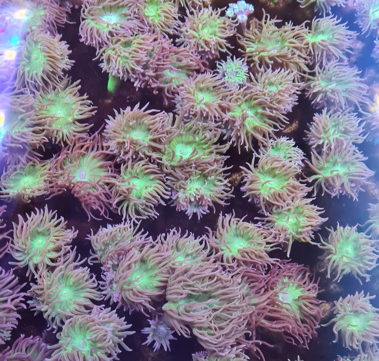 5e84292219124c421828d47951003372